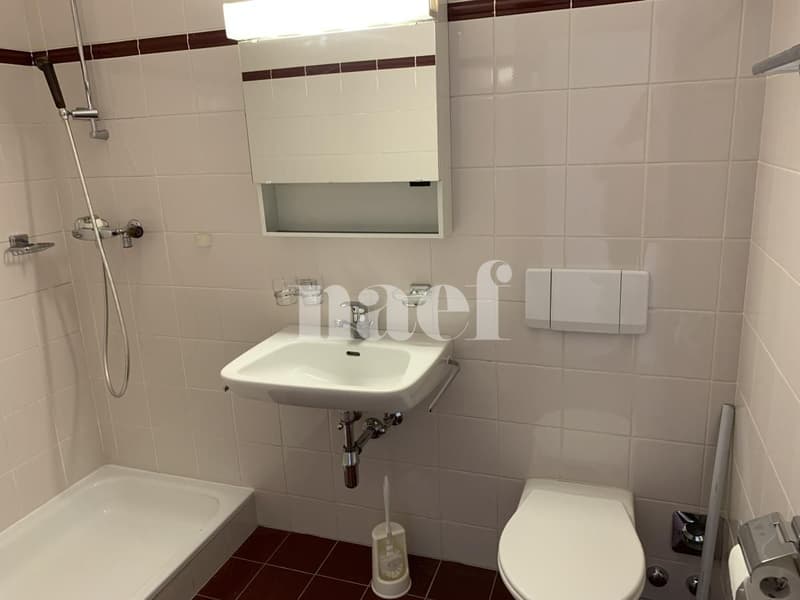 Spacieux appartement de 4.5 pièces avec balcon et grande mezzanine dans les combles (4)