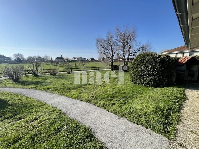 Bail déterminé - Jolie maison individuelle de 4.5 pièces avec grand jardin (4)