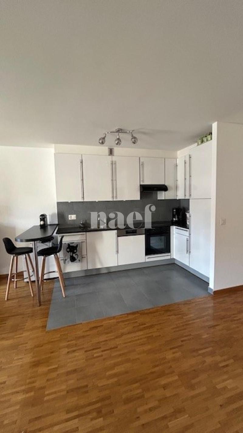 Bel appartement de 3 pièces au 2ème étage avec grand balcon (4)