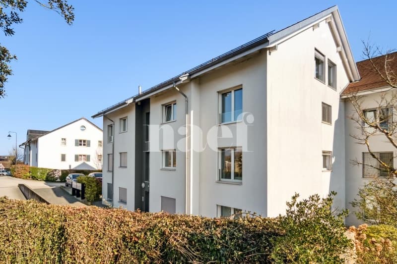 Bel appartement de 3 pièces au 3ème étage (6)