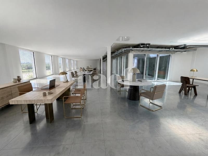 Eikenott - Vaste surface commerciale d'env. 300m2 au 2ème étage (4)