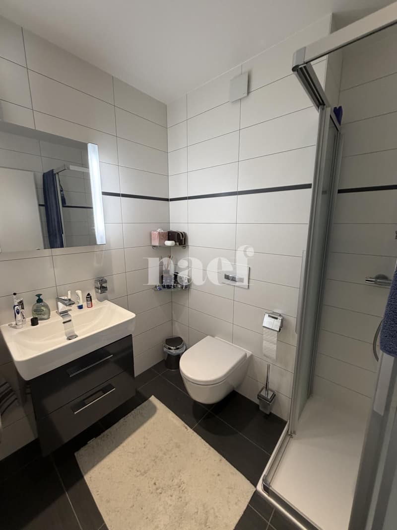 Bel appartement traversant de 3.5 pièces + annexe indépendante au rez-de-chaussée avec jardins (9)
