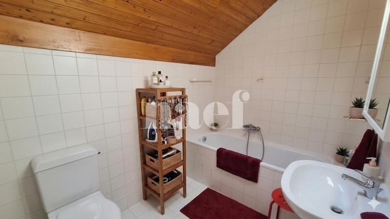Jolie villa jumelle de 5 pièces avec terrasse et grand jardin clôturé (6)
