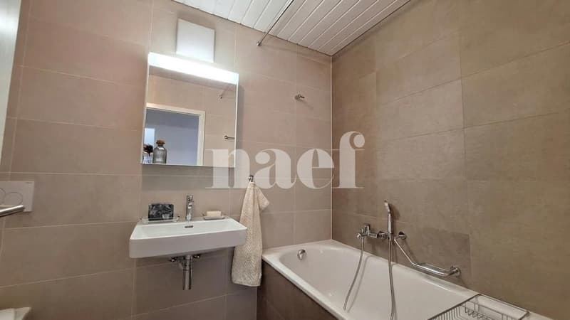 Bel appartement de 4 pièces dans les combles avec grand balcon et vue lac (9)