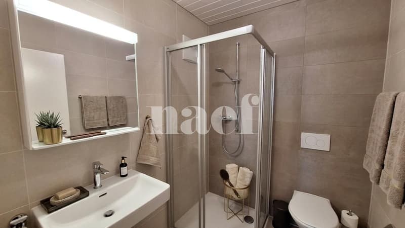 Bel appartement de 4 pièces dans les combles avec grand balcon et vue lac (8)