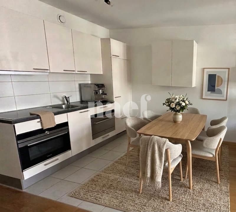Bel appartement récent de 2.5 pièces d'env. 45m2 au 3ème étage (1)
