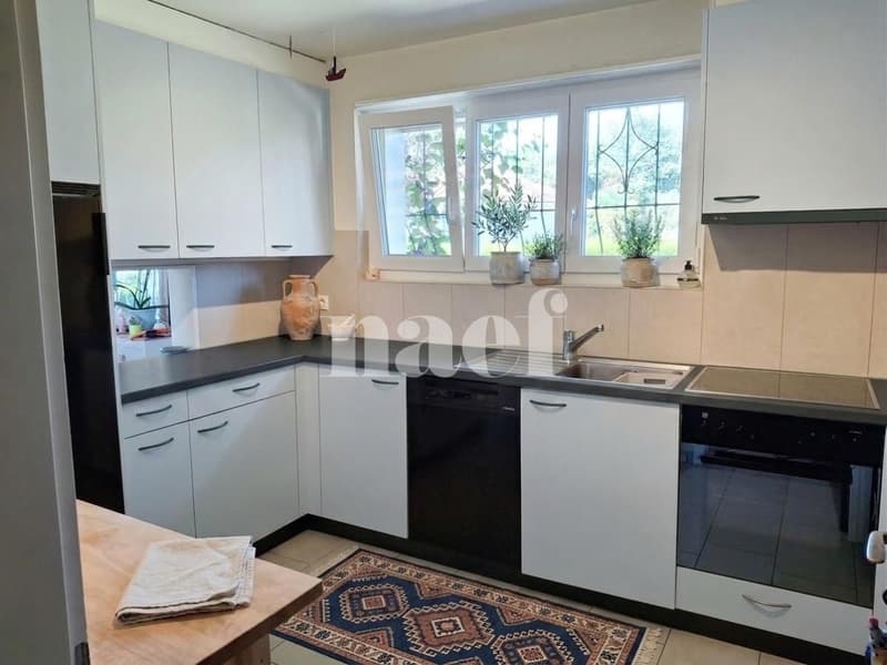 Maison individuelle de 4.5 pièces avec cheminée et jardin (3)