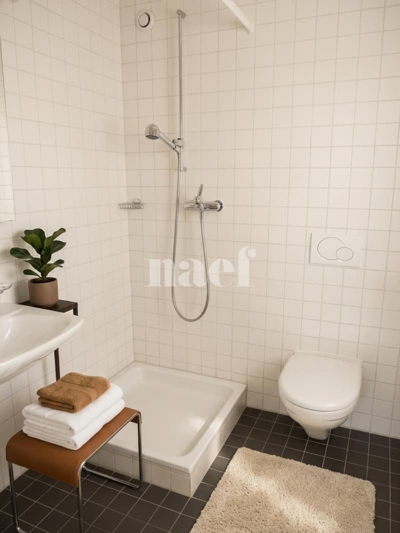 Bel appartement lumineux de 4.5 pièces au 3ème étage avec balcons (7)