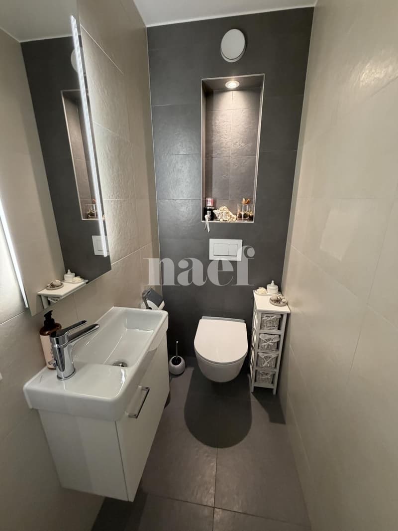 Bel appartement traversant de 3.5 pièces au rez-de-chaussée avec terrasse et jardin (7)