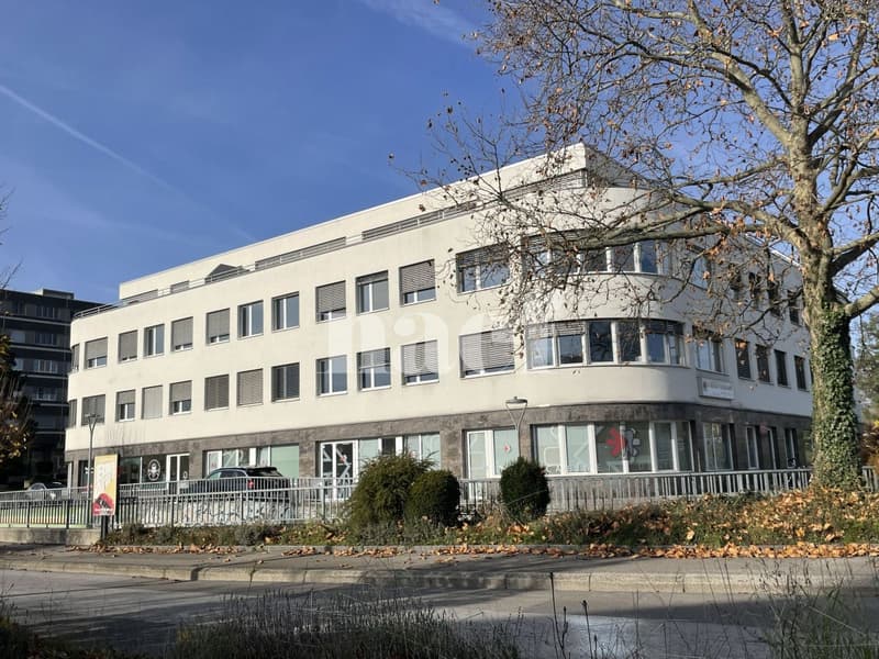 Centre Les Tuillières - Lumineuse surface d'env. 283m2 modulables au 2ème étage d'un immeuble commercial (1)