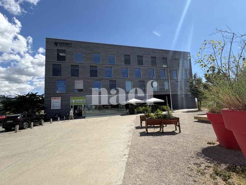 Eikenott - Vaste surface commerciale d'env. 300m2 au 2ème étage (2)