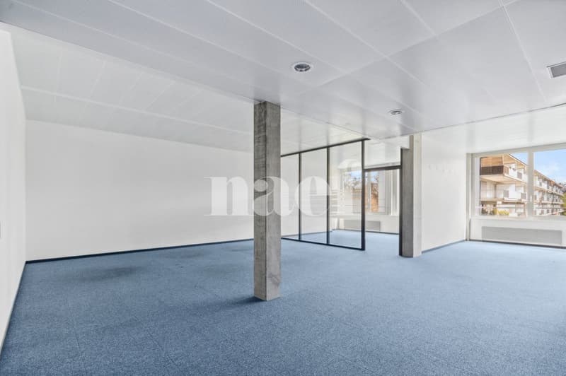 Précossy - Etage complet d'env. 838m2 au 1er étage divisée en plusieurs bureau (9)