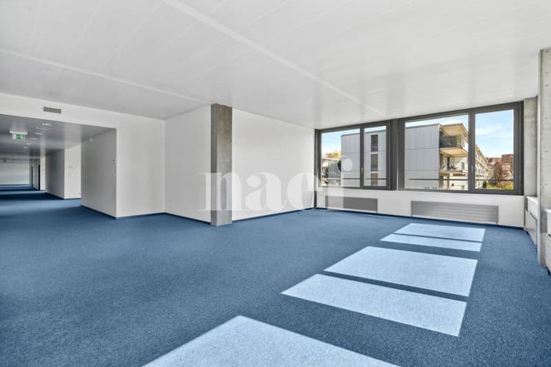 Précossy - Etage complet d'env. 838m2 au 1er étage divisée en plusieurs bureau (8)