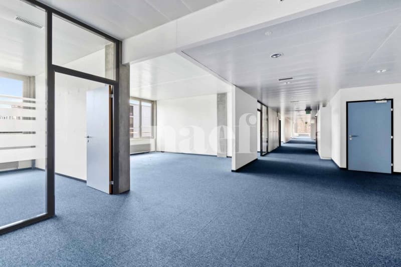 Résidence de Précossy - Magnifique surface modulable d'env. 333 m2 au 1er étage (3)