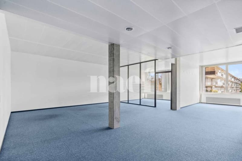 Résidence de Précossy - Magnifique surface modulable d'env. 333 m2 au 1er étage (4)