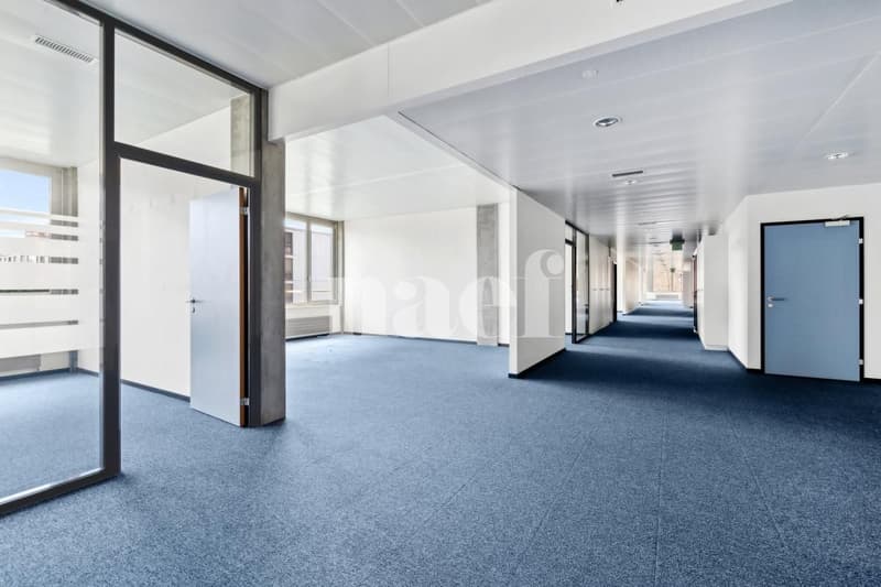 Surface d'env. 211m2 modulables au 1er étage (1)