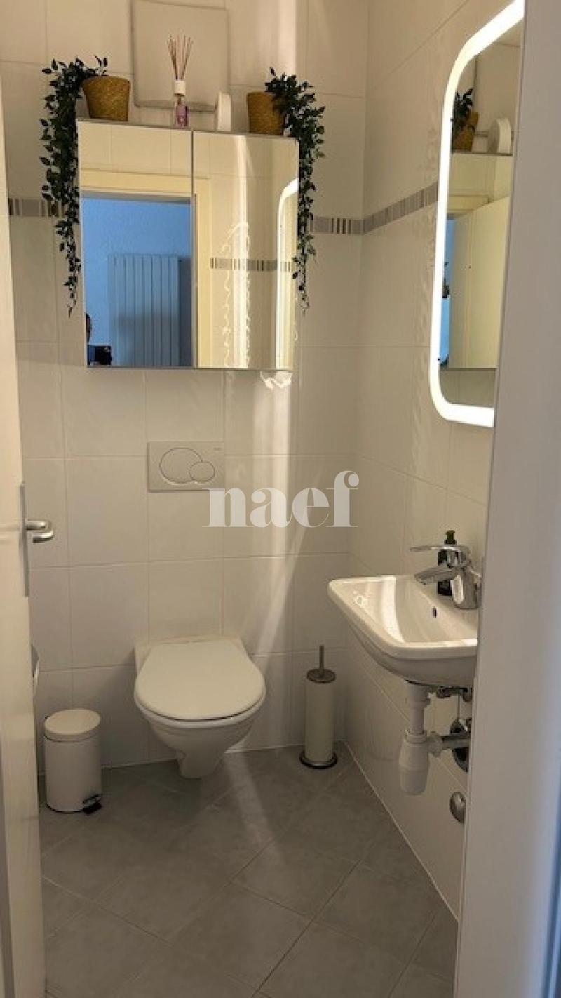 Bel appartement de 3 pièces au 2ème étage avec grand balcon (7)