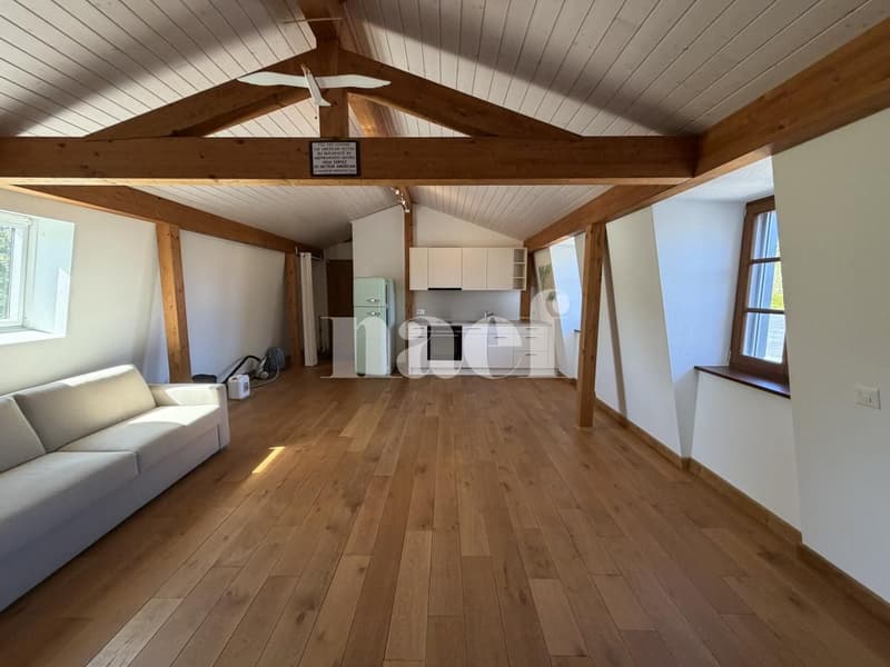 Magnifique propriété individuelle avec dépendances et un beau jardin arboré avec jacuzzi (11)
