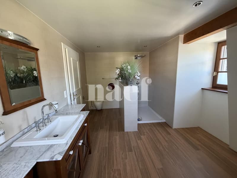 Magnifique propriété individuelle avec dépendances et un beau jardin arboré avec jacuzzi (8)