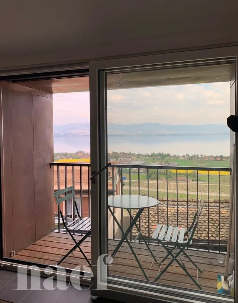Bel appartement de 4 pièces au 1er étage avec balcon (1)
