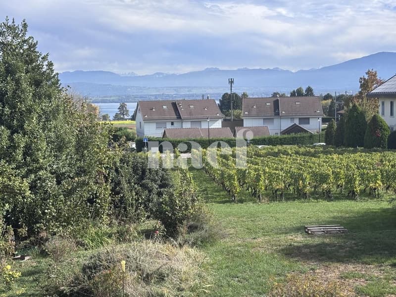 Appartement de 4 pièces au 1er étages avec balcons échappée sur le lac (12)