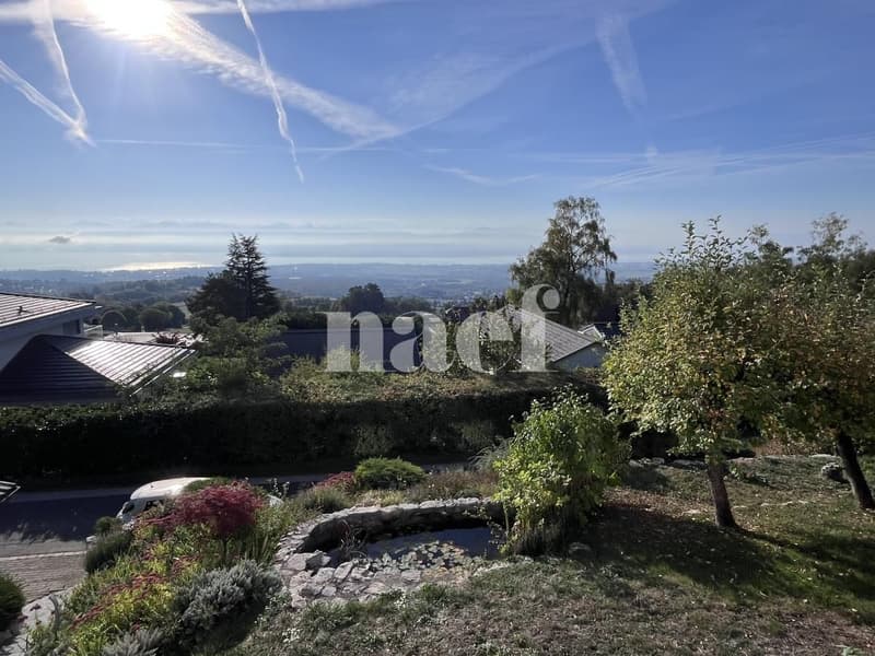 Belle maison individuelle d'env. 180m2 de 6.5 pièces avec jardin jacuzzi et vue lac (1)