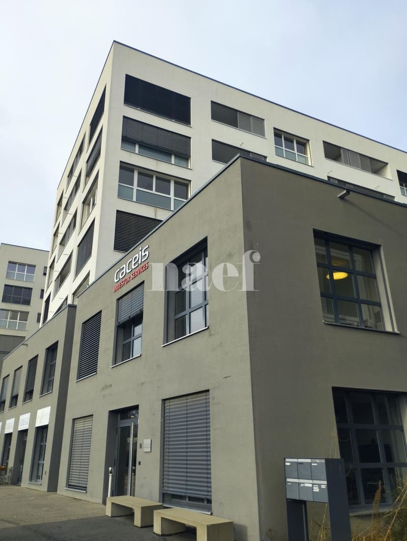 Bel appartement de 4.5 pièces d'env. 104m2 au rez-de-chaussée avec terrasse (1)