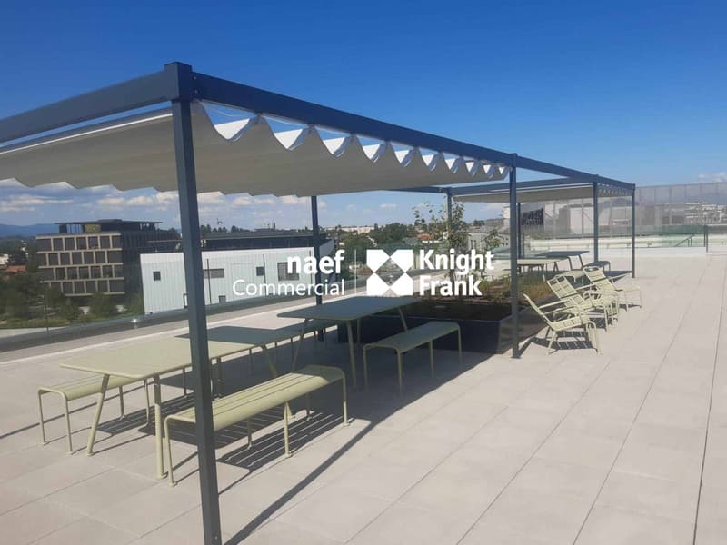 Meyrin ZIMEYSA - Surface d'activité de 491 m² (5)
