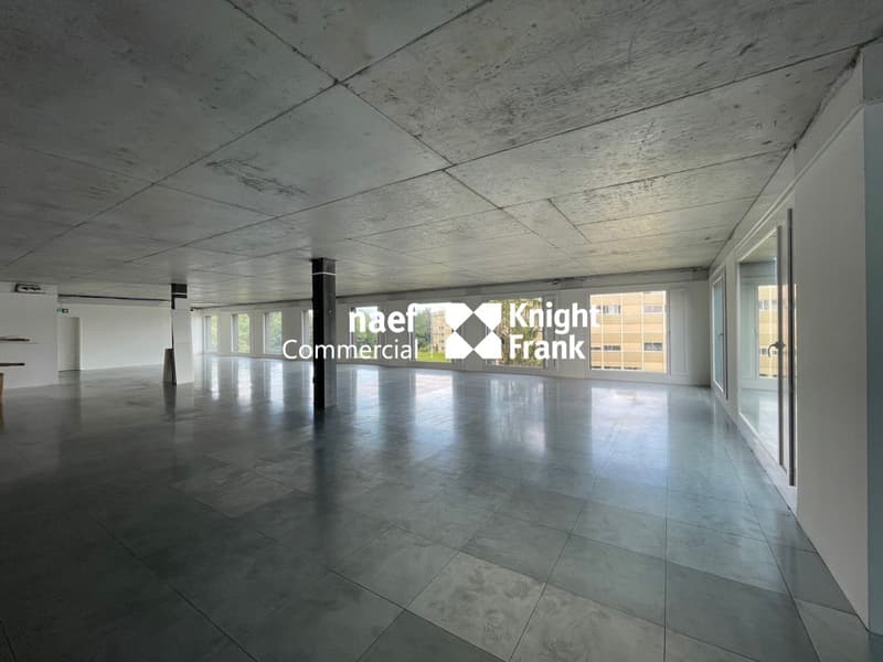 WEST PARK - surface moderne et équipée de 424 m² (3)