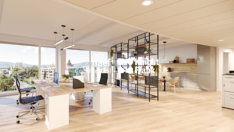 Lancy - dernier plateau à louer, 517 m² de bureaux divisibles dès 165 m² (5)