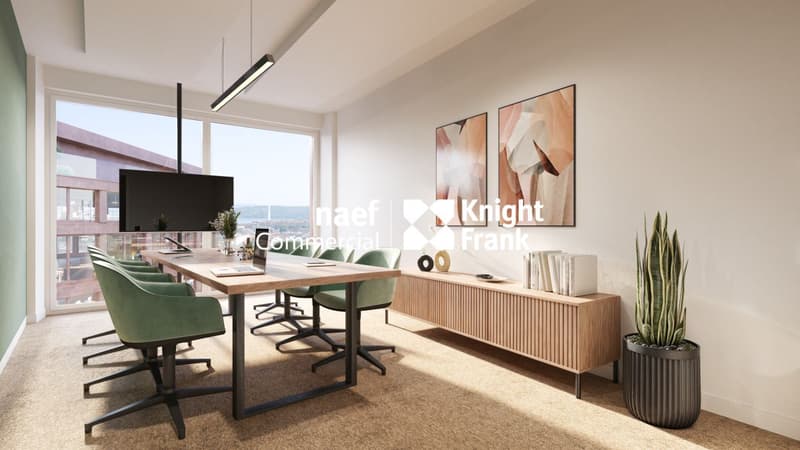 Lancy - dernier plateau à louer, 517 m² de bureaux divisibles dès 165 m² (7)