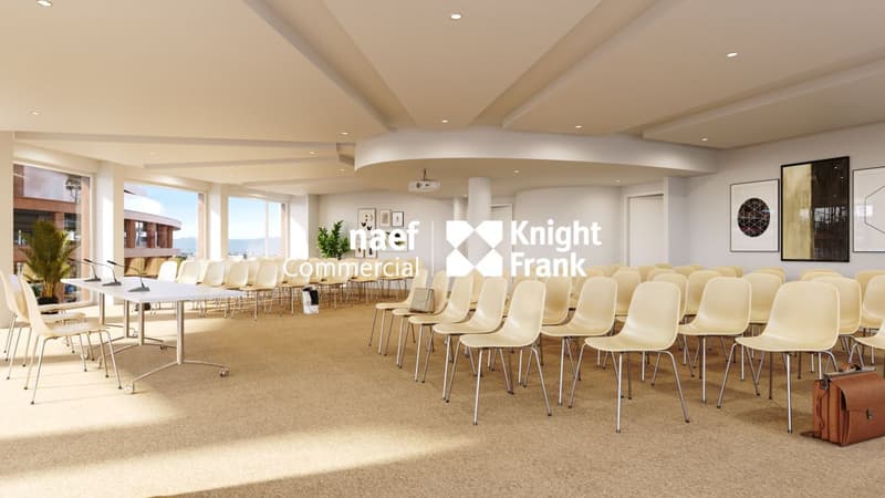 Lancy - dernier plateau à louer, 517 m² de bureaux divisibles dès 165 m² (12)