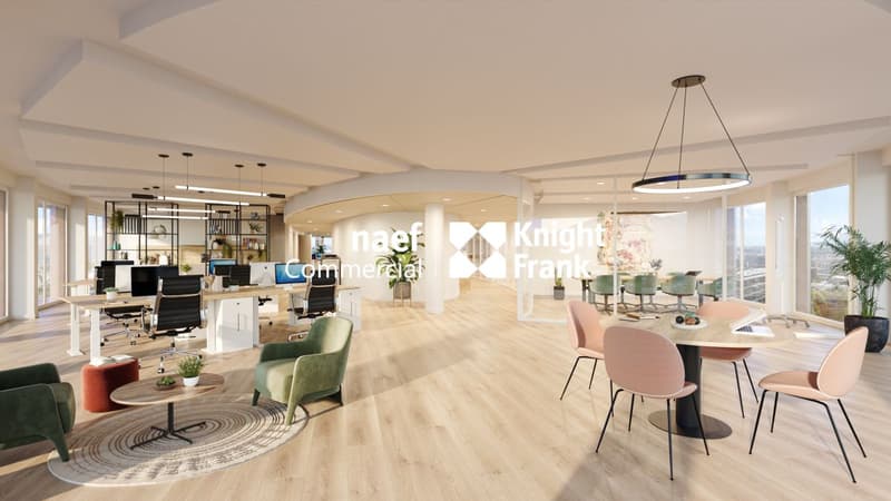 Lancy - dernier plateau à louer, 517 m² de bureaux divisibles dès 165 m² (6)