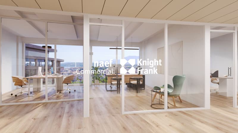 Lancy - dernier plateau à louer, 517 m² de bureaux divisibles dès 165 m² (8)