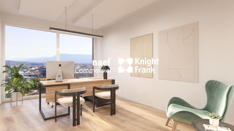 Lancy - dernier plateau à louer, 517 m² de bureaux divisibles dès 165 m² (9)