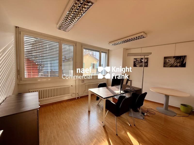 Carouge : bureaux d'env 483m2 à louer (6)