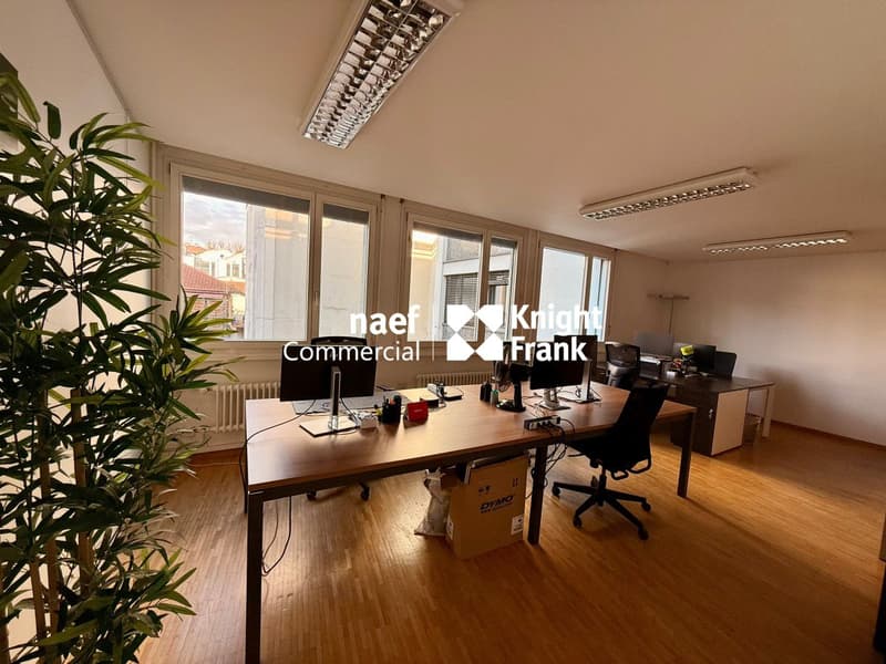 Carouge : bureaux d'env 483m2 à louer (3)