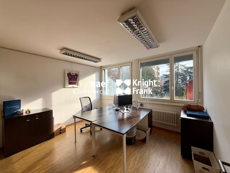 Carouge : bureaux d'env 483m2 à louer (4)