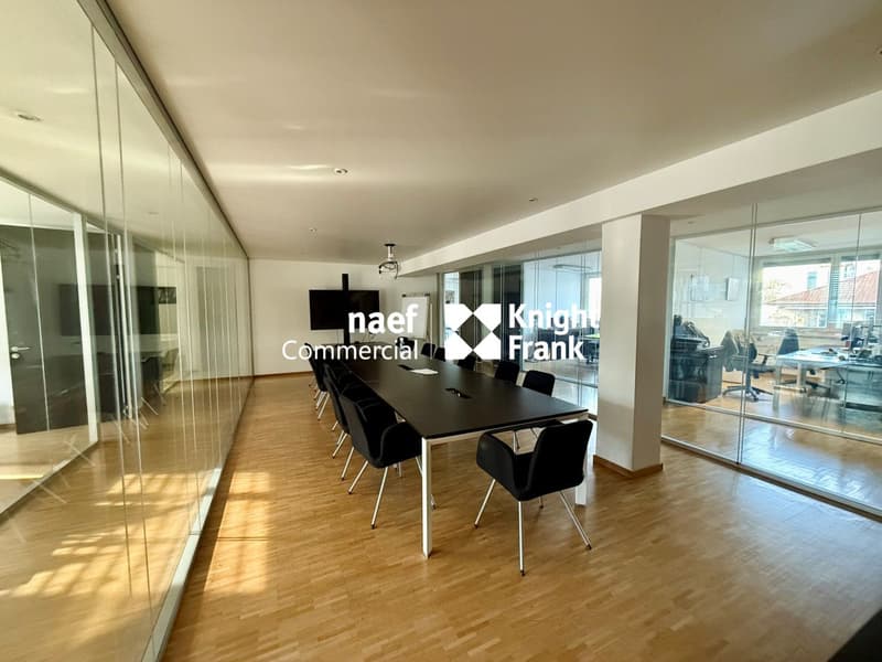 Carouge : bureaux d'env 483m2 à louer (2)