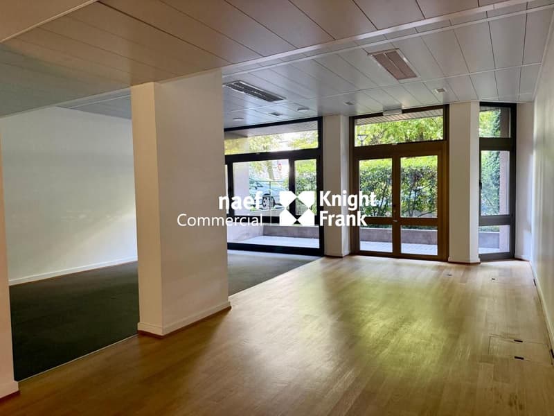 Arcade / Bureaux d'env 206 m² avec 4 parkings - Champel / Genève (2)