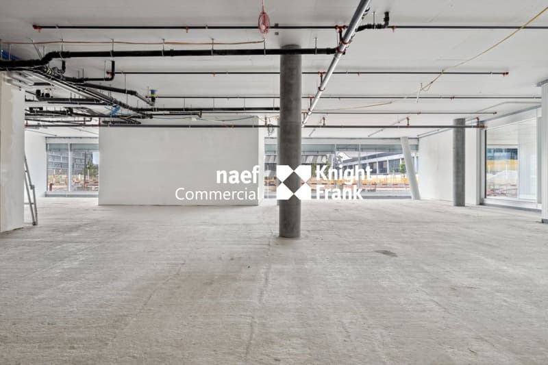 Stellar 32 - Grande arcade d'env. 421 m² disponible ! (5)