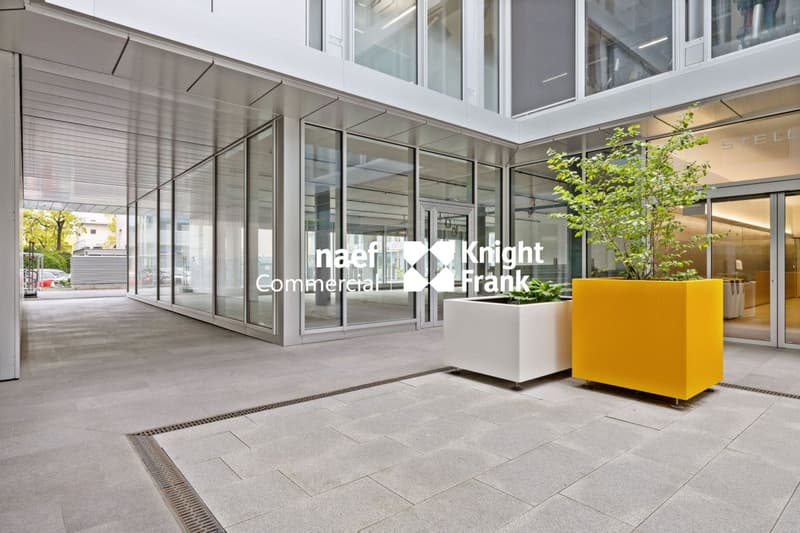 Stellar 32 - Grande arcade d'env. 421 m² disponible ! (2)