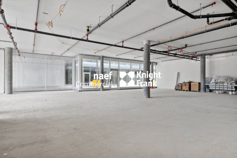 Stellar 32 - Grande arcade d'env. 421 m² disponible ! (3)