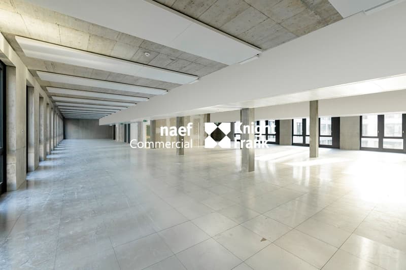 À LOUER  Quartet - 3272 m2 - Locaux Tertiaires et Secondaires au Cur de Genève (2)