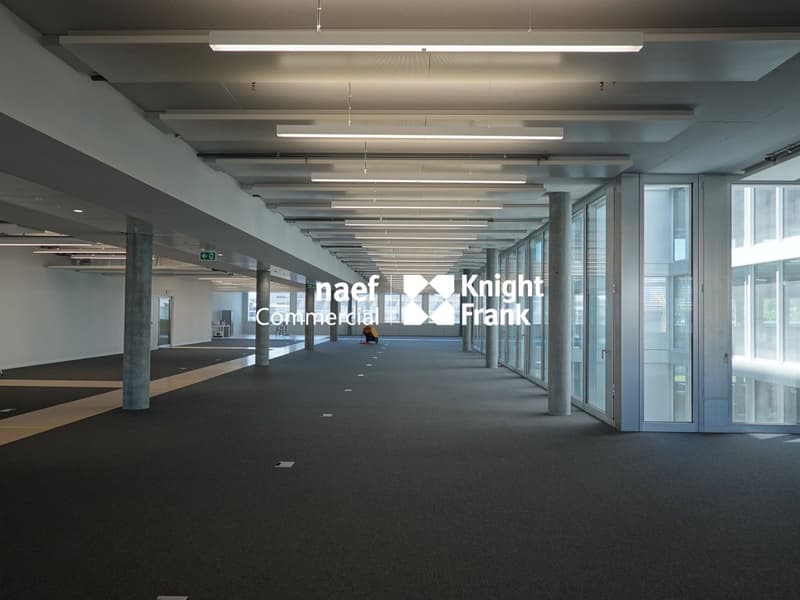 Stellar 32 - BUREAUX MODERNES, FLEXIBLES ET PREMIUM (3)