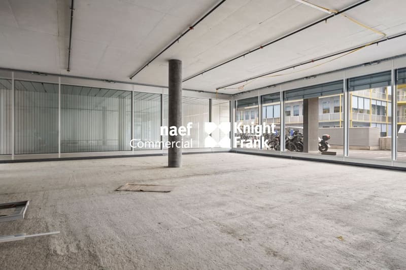 Stellar 32 - Belle arcade d'env. 290 m² (3)