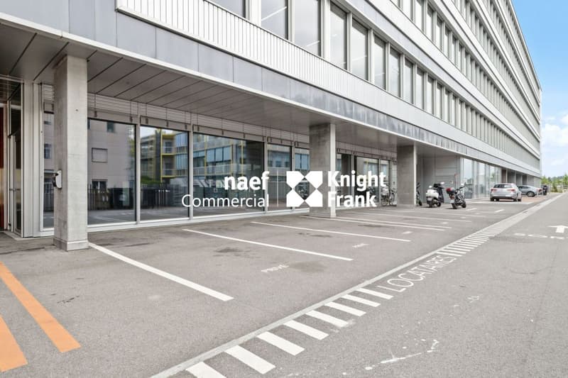 Stellar 32 - Belle arcade d'env. 290 m² (4)