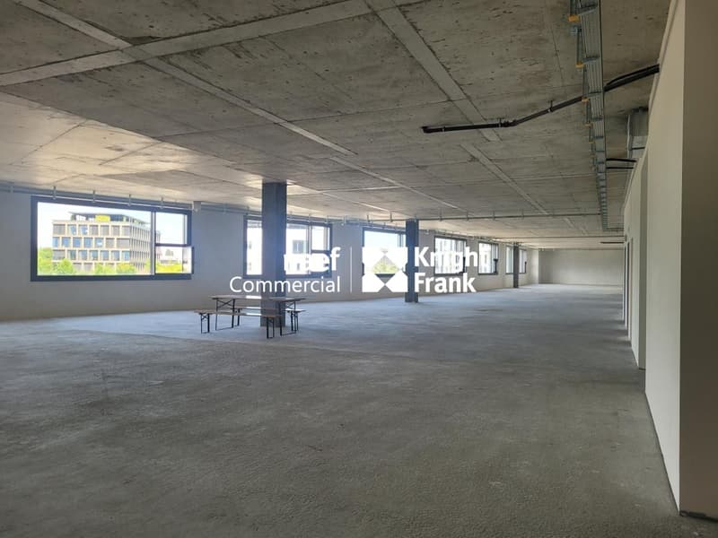 Meyrin ZIMEYSA - Surface administrative et artisanale de 985m2 divisible (3)