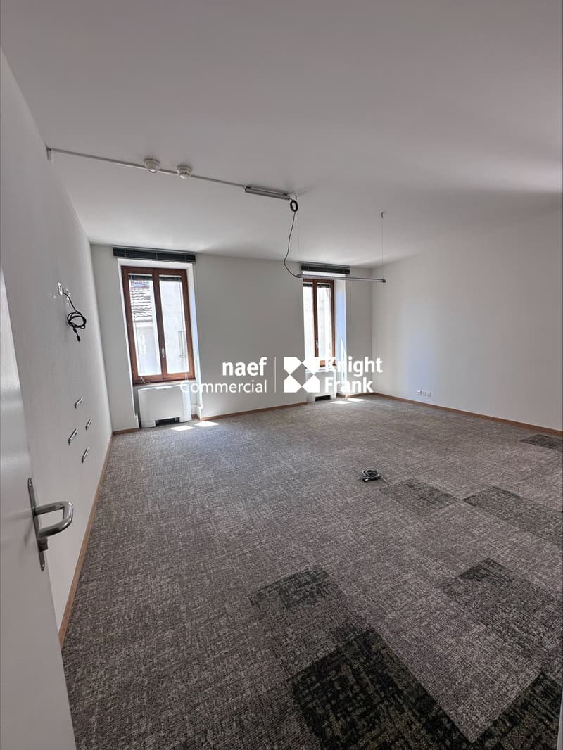 Chantepoulet - Bureaux de 316 m² au 3ème étage (6)