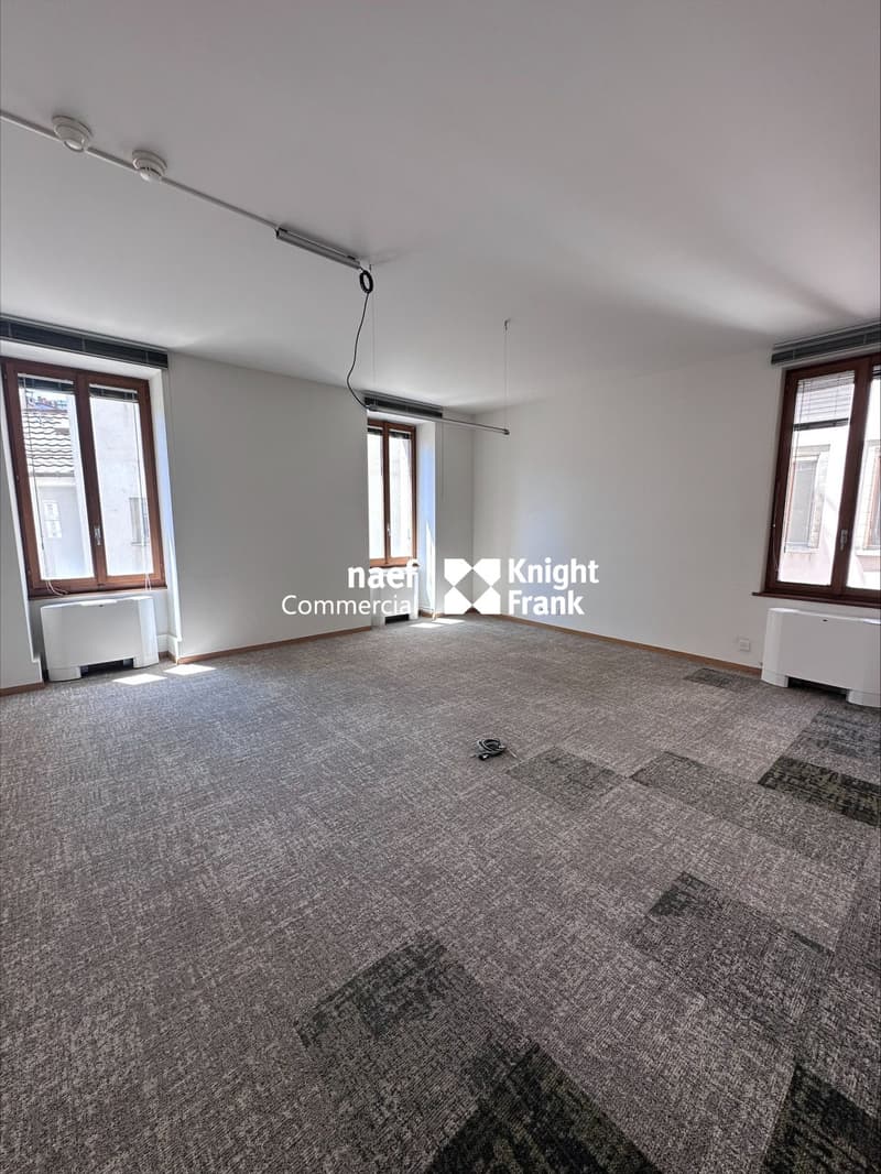 Chantepoulet - Bureaux de 316 m² au 3ème étage (5)
